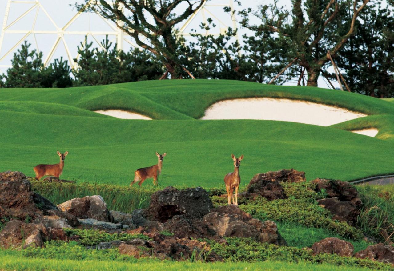 Ardenhill Resort & Golf Jeju Exterior foto